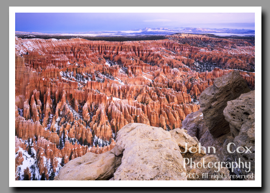 The orange and pink hoodoos of Bryce Canyon glow in the soft light of Bryce Canyon National Park.