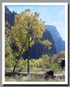 Angels Landing and the Great White Throne rise above the canyon floor in Zion National Park, Utah.