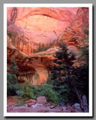 The pink walls of Double Arch Alcove stand brilliantly over Kolob Canyon in Zion National Park in Utah.