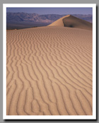The morning light casts a soft light on the sandy waves of the Mesquite Flat Dunes in Death Valley National Park, California.