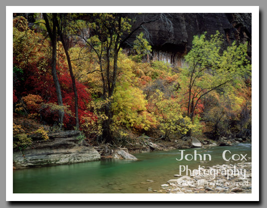 The Virgin River flows through the fall foilage of the Temple of Sinawa in Zion National Park, Utah.
