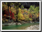 The Virgin River flows through the fall foilage of the Temple of Sinawa in Zion National Park, Utah.